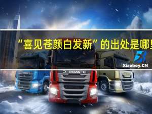 “喜见苍颜白发新”的出处是哪里