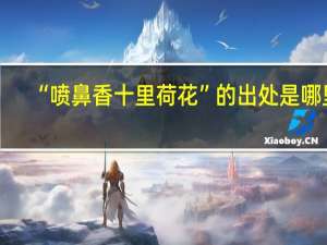 “喷鼻香十里荷花”的出处是哪里