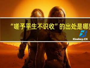 “嗟予平生不识收”的出处是哪里