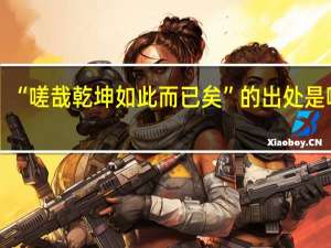 “嗟哉乾坤如此而已矣”的出处是哪里