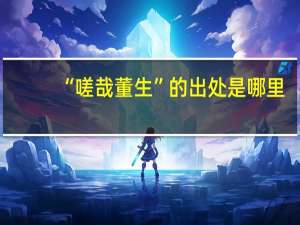 “嗟哉董生”的出处是哪里