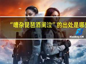 “嘈杂琵琶酒阑泣”的出处是哪里