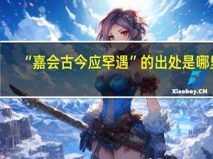 “嘉会古今应罕遇”的出处是哪里