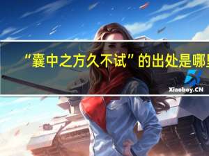 “囊中之方久不试”的出处是哪里