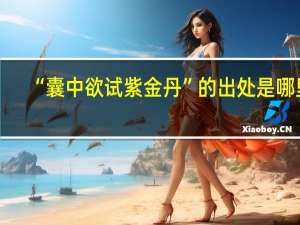 “囊中欲试紫金丹”的出处是哪里