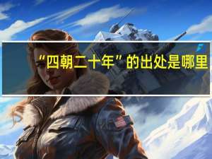 “四朝二十年”的出处是哪里