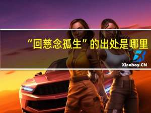 “回慈念孤生”的出处是哪里