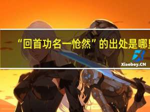 “回首功名一怆然”的出处是哪里