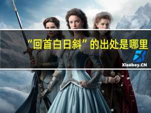 “回首白日斜”的出处是哪里