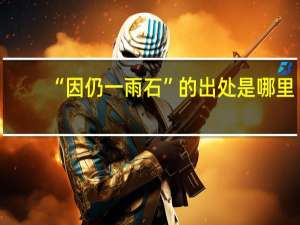 “因仍一雨石”的出处是哪里