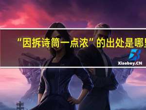 “因拆诗筒一点浓”的出处是哪里