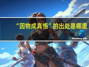 “因物成真悟”的出处是哪里