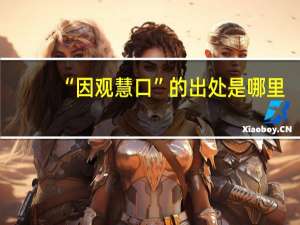 “因观慧口”的出处是哪里