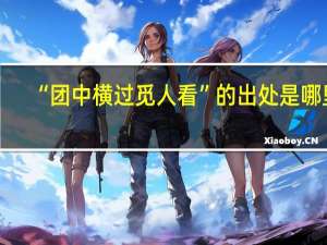 “团中横过觅人看”的出处是哪里