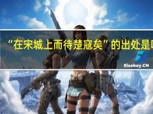 “在宋城上而待楚寇矣”的出处是哪里