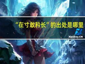 “在寸敢矜长”的出处是哪里