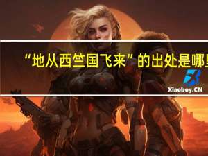 “地从西竺国飞来”的出处是哪里