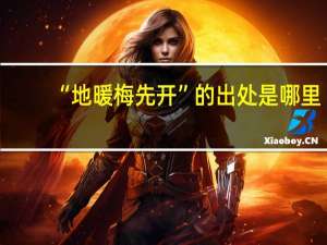 “地暖梅先开”的出处是哪里