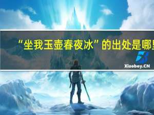 “坐我玉壶春夜冰”的出处是哪里