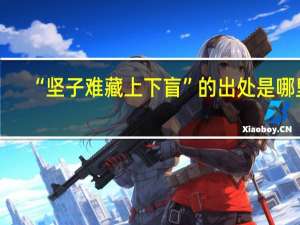 “坚子难藏上下盲”的出处是哪里