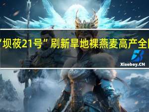 “坝莜21号”刷新旱地裸燕麦高产全国纪录