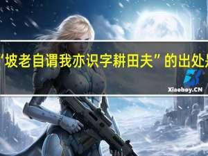 “坡老自谓我亦识字耕田夫”的出处是哪里