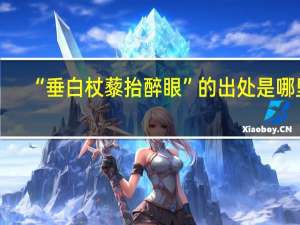 “垂白杖藜抬醉眼”的出处是哪里