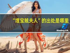 “埋宝贼夫人”的出处是哪里