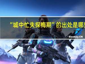 “城中忙失探梅期”的出处是哪里