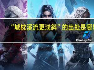 “城枕溪流更浅斜”的出处是哪里