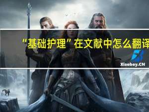 “基础护理”在文献中怎么翻译