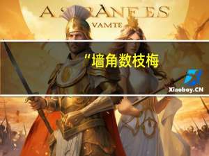 “墙角数枝梅，凌寒独自开。遥知不是雪，唯有暗香来”是意思是什么