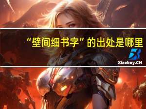 “壁间细书字”的出处是哪里