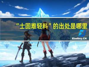 “士固难轻料”的出处是哪里