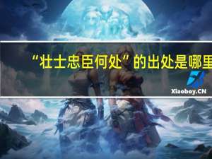 “壮士忠臣何处”的出处是哪里