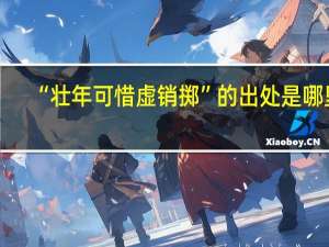 “壮年可惜虚销掷”的出处是哪里