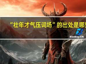 “壮年才气压词场”的出处是哪里