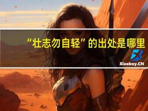 “壮志勿自轻”的出处是哪里