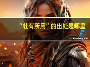 “壮有所用”的出处是哪里