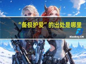 “备极护爱”的出处是哪里