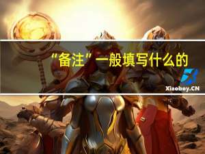 “备注”一般填写什么的