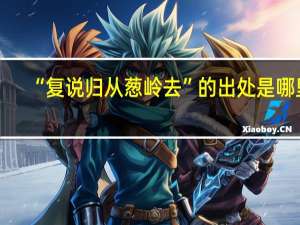 “复说归从葱岭去”的出处是哪里