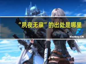 “夙夜无寐”的出处是哪里