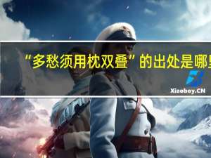 “多愁须用枕双叠”的出处是哪里