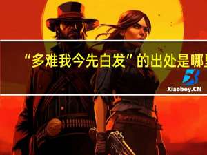 “多难我今先白发”的出处是哪里