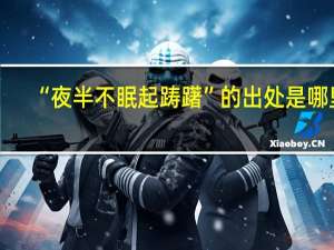 “夜半不眠起踌躇”的出处是哪里