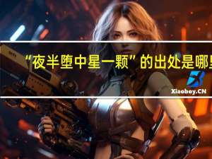 “夜半堕中星一颗”的出处是哪里