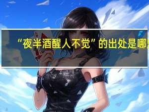“夜半酒醒人不觉”的出处是哪里