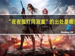 “夜夜孤灯同寂寞”的出处是哪里