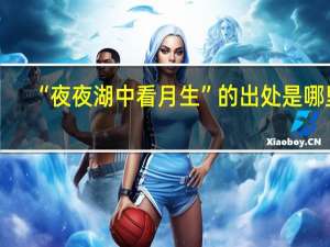 “夜夜湖中看月生”的出处是哪里